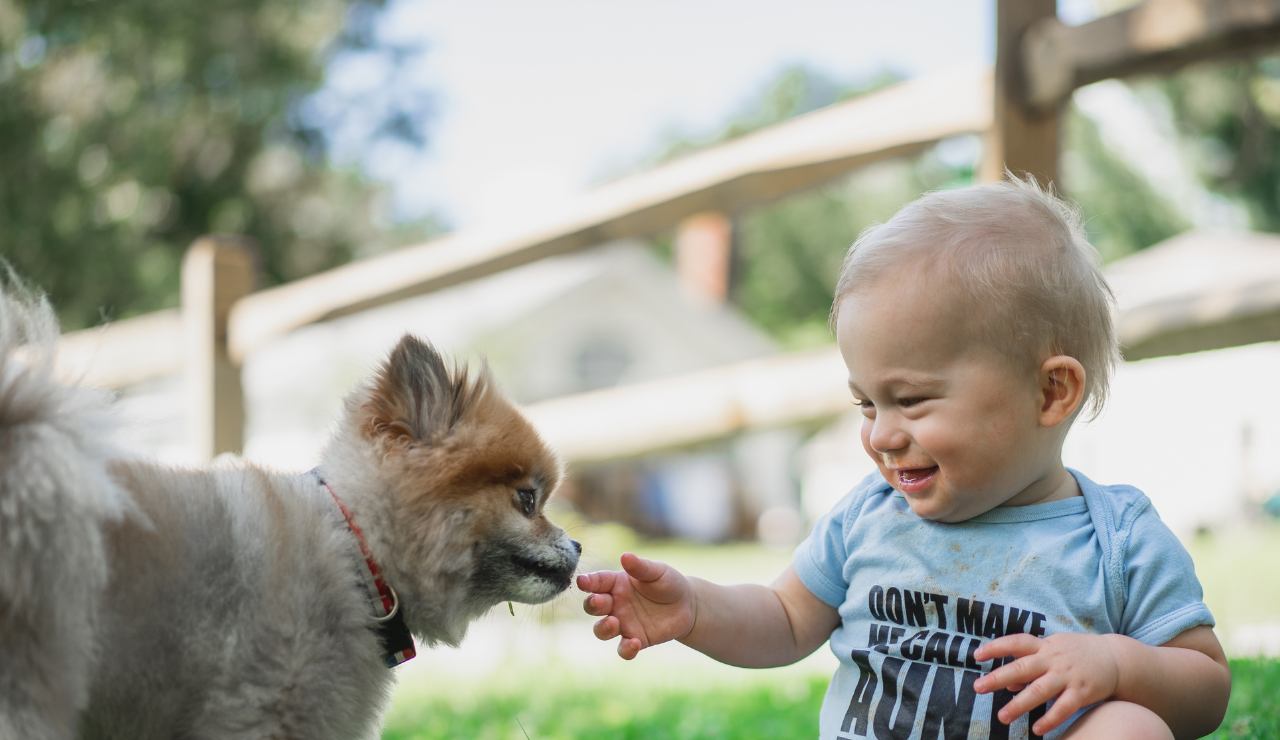 Bambini e animali: benefici, rischi e regole per una convivenza serena