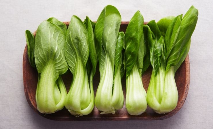 Bok Choi 